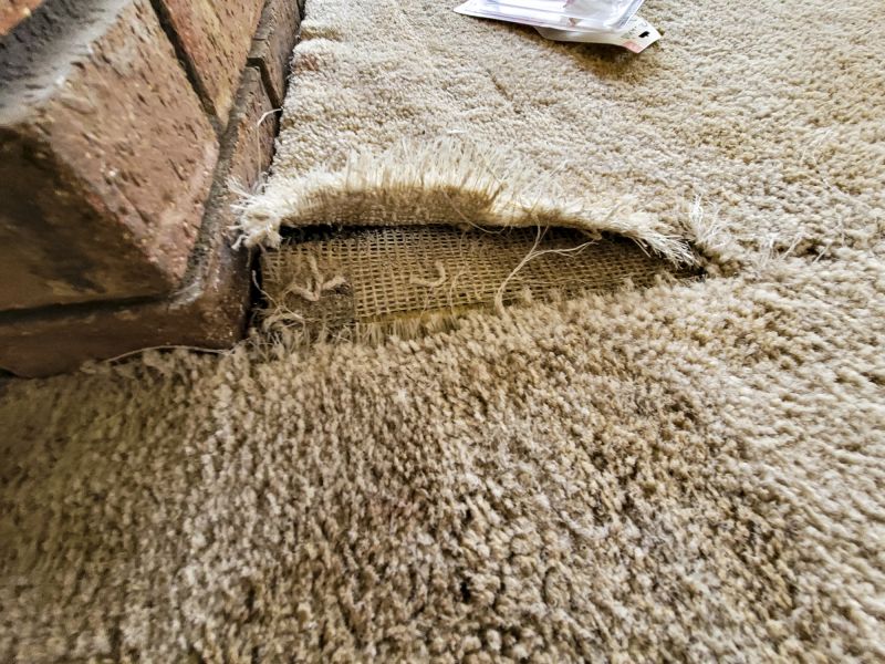 Carpet Burn Repair in Alpharetta, GA