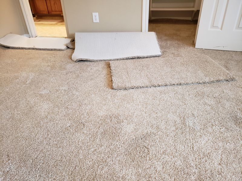 Doorway Carpet Repair in Littleton, CO