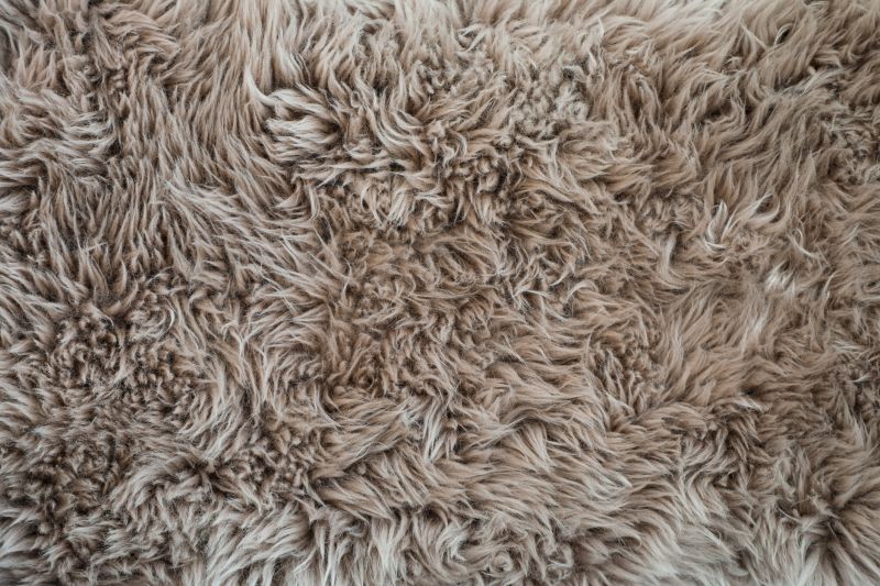 Shag Carpet Installation in Ocean County, NJ